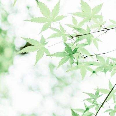 能源转型放缓 道达尔能源将重新评估2050净零目标